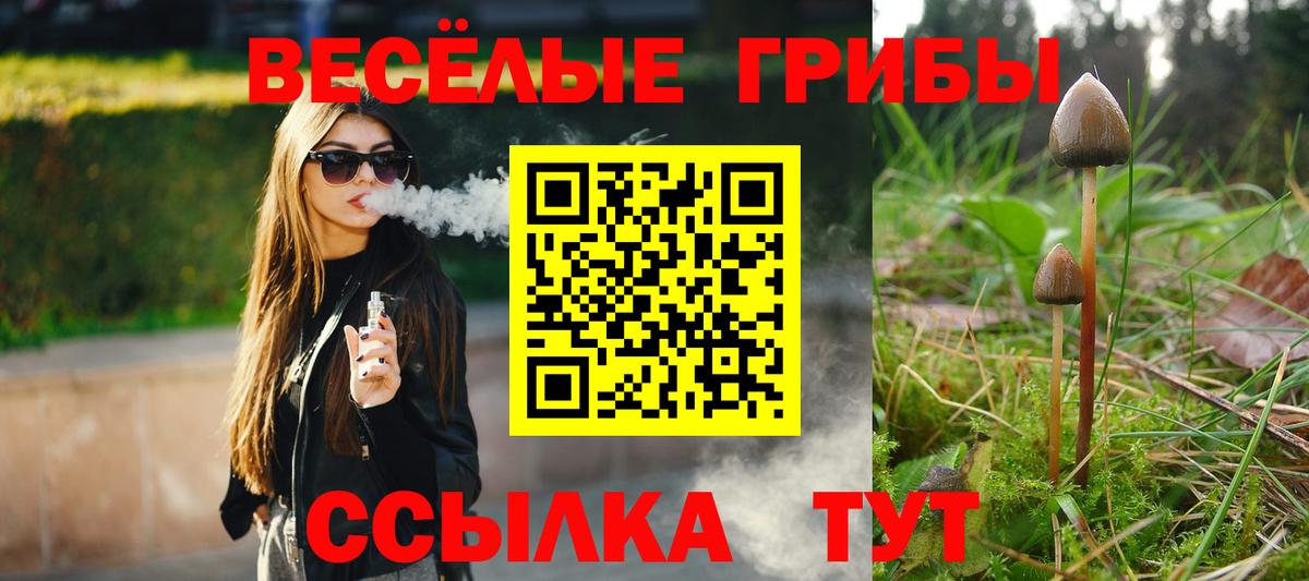 Галлюциногенные грибы прущие грибы  Псилоцибиновые грибы MAGIC MUSHROOMS  Саранск  Вход с VPN 
